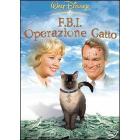 FBI operazione Gatto FBI operazione Gatto
