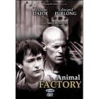 Animal Factory Animal Factory