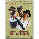 Gi� la testa