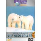 Nel regno dell'orso polare