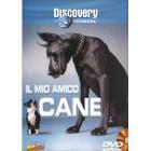 Il mio amico cane