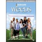 Weeds. Prima stagione (2 Dvd)