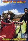 Corso di ballo. Flamenco, rumba flamenca Corso di ballo. Flamenco, rumba flamenca