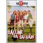 Galline da salvare