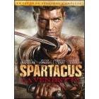 Spartacus. La vendetta. La seconda stagione (4 Dvd) Spartacus. La vendetta. La seconda stagione (4 Dvd)