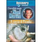 L' incredibile mondo di Nigel Marven. A caccia di piranha