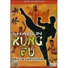 Shaolin Kung Fu