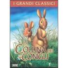 La collina dei conigli