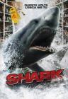 Shark Shark