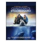 Qualcosa di straordinario (Blu-ray)