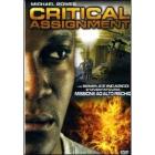 Critical Assignment