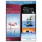 Il mistero dei fenicotteri rosa - Earth, la nostra terra (Cofanetto 2 blu-ray) Il mistero dei fenicotteri rosa - Earth, la nostra terra (Cofanetto 2 blu-ray)