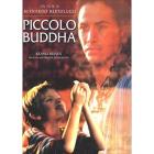 Piccolo Buddha