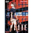 Kite