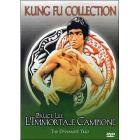 Bruce Lee l'immortale campione