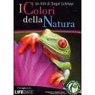 I colori della natura