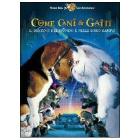 Come cani & gatti